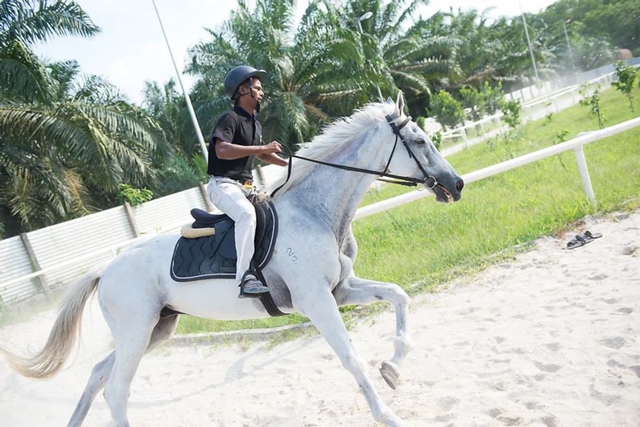 horse riding in Johor Bahru | Sinar Eco Resort